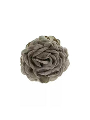 Ellie Floral Hair Clip in Neutral