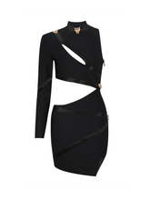 Evana Panther Mini Dress