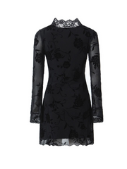 Raven Lace Mesh Mini Dress