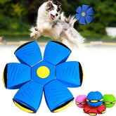 PawsOrbit Interaktives Hundespielzeug mit fliegendem Untertassenball