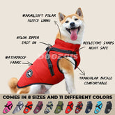 Doggy™ - Wasserdichte Winterjacke für Hunde mit integriertem Geschirr