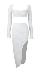 PEARL LONE SLEEVE TWO PIECE DRESS