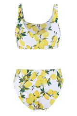 Two Piece Printed High Waist Swimwear