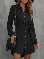 Commuter Lapel Lace Solid Mini Dress