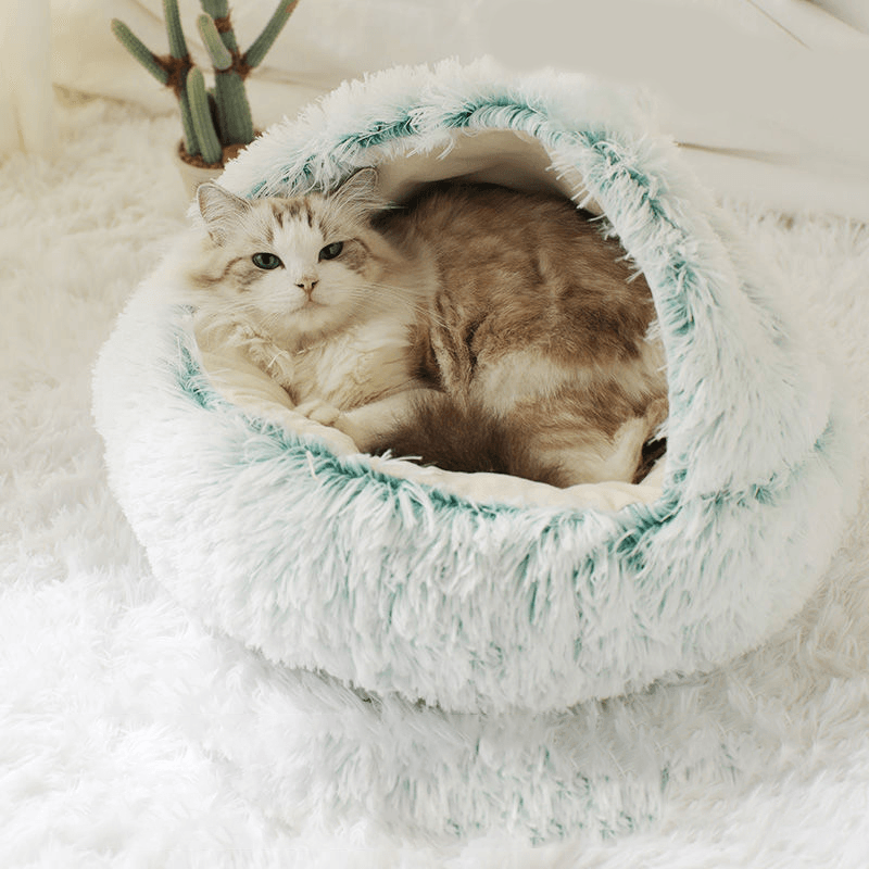 Comfy Pet Bed 2-in-1