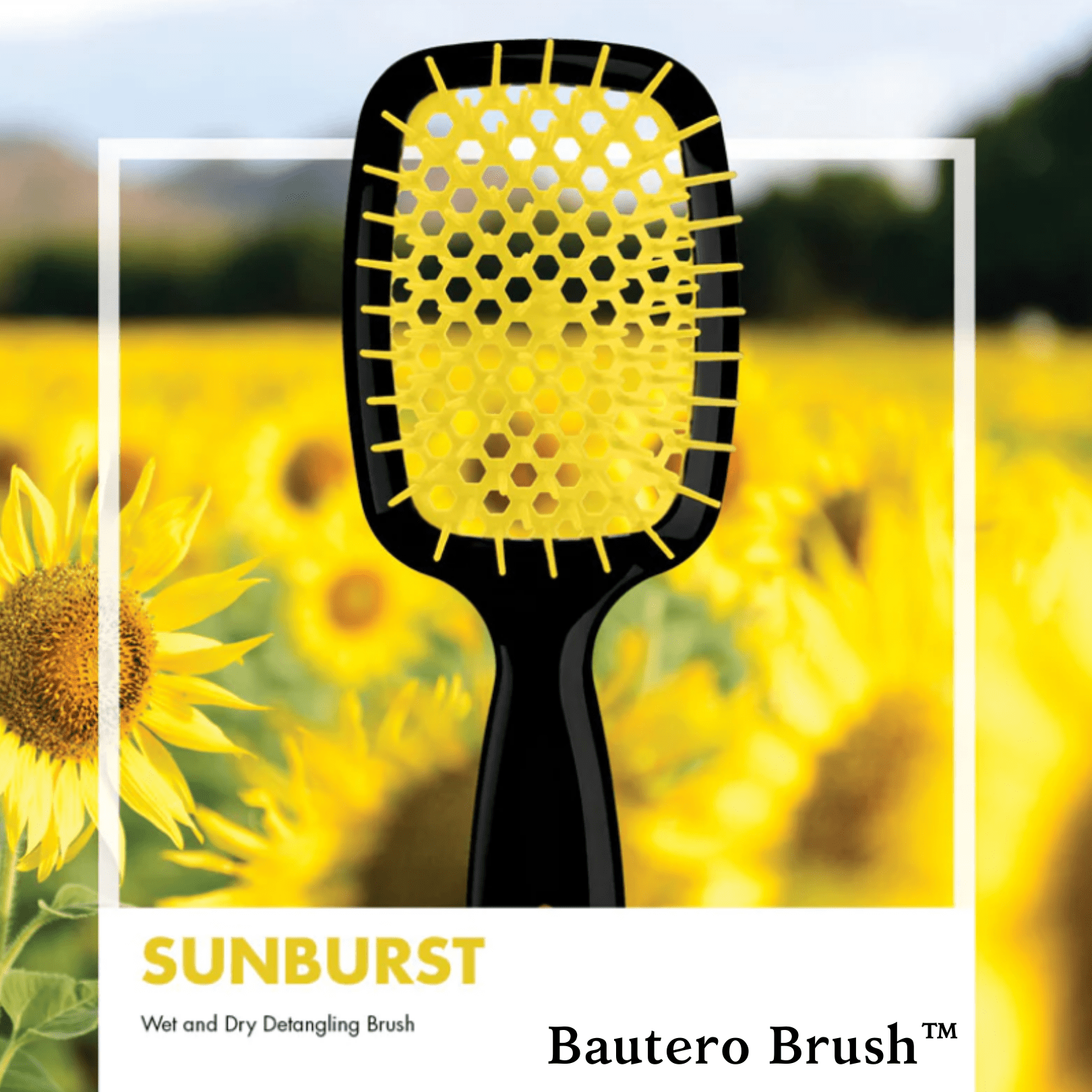 Bautero Brushâ„?- Detangling Hair Brush