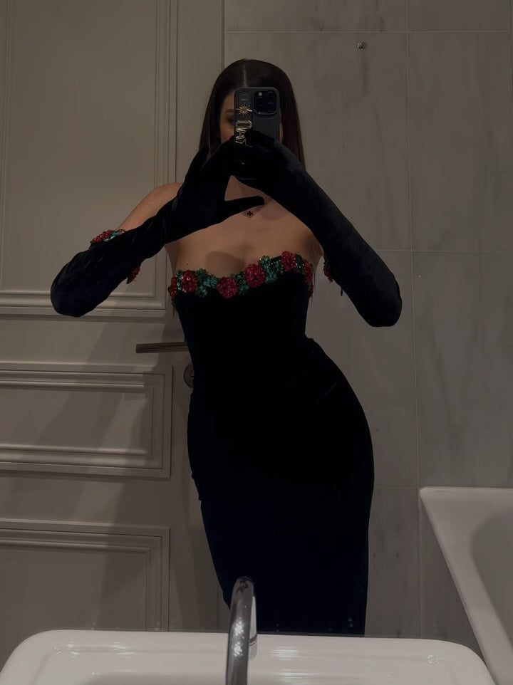 Rosetta Embellished Velvet Maxi Dress