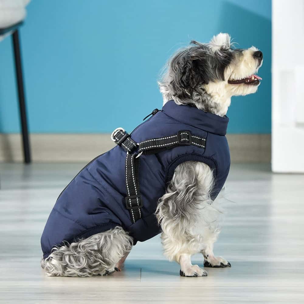 Doggyâ„?- Waterproof Winter Dog Jacket With Built-In Harness