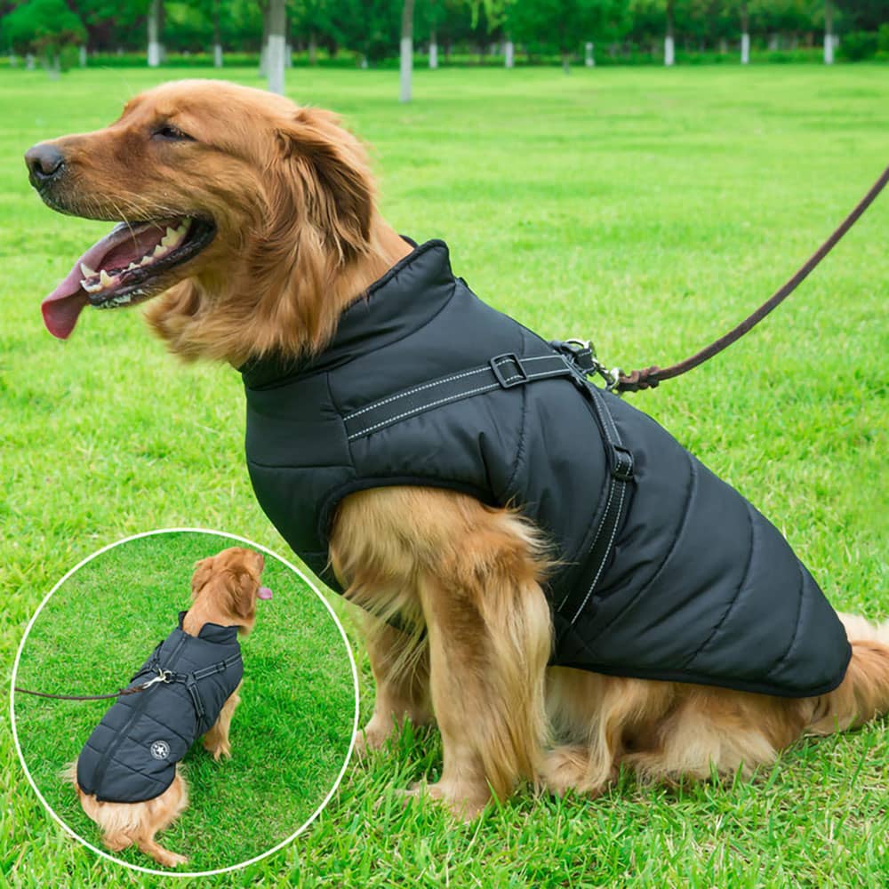 Doggyâ„?- Waterproof Winter Dog Jacket With Built-In Harness