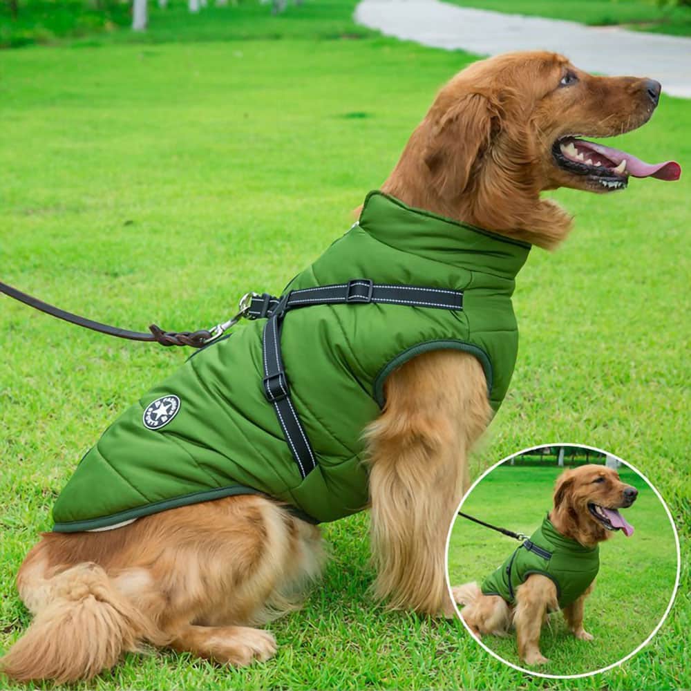 Doggyâ„?- Waterproof Winter Dog Jacket With Built-In Harness